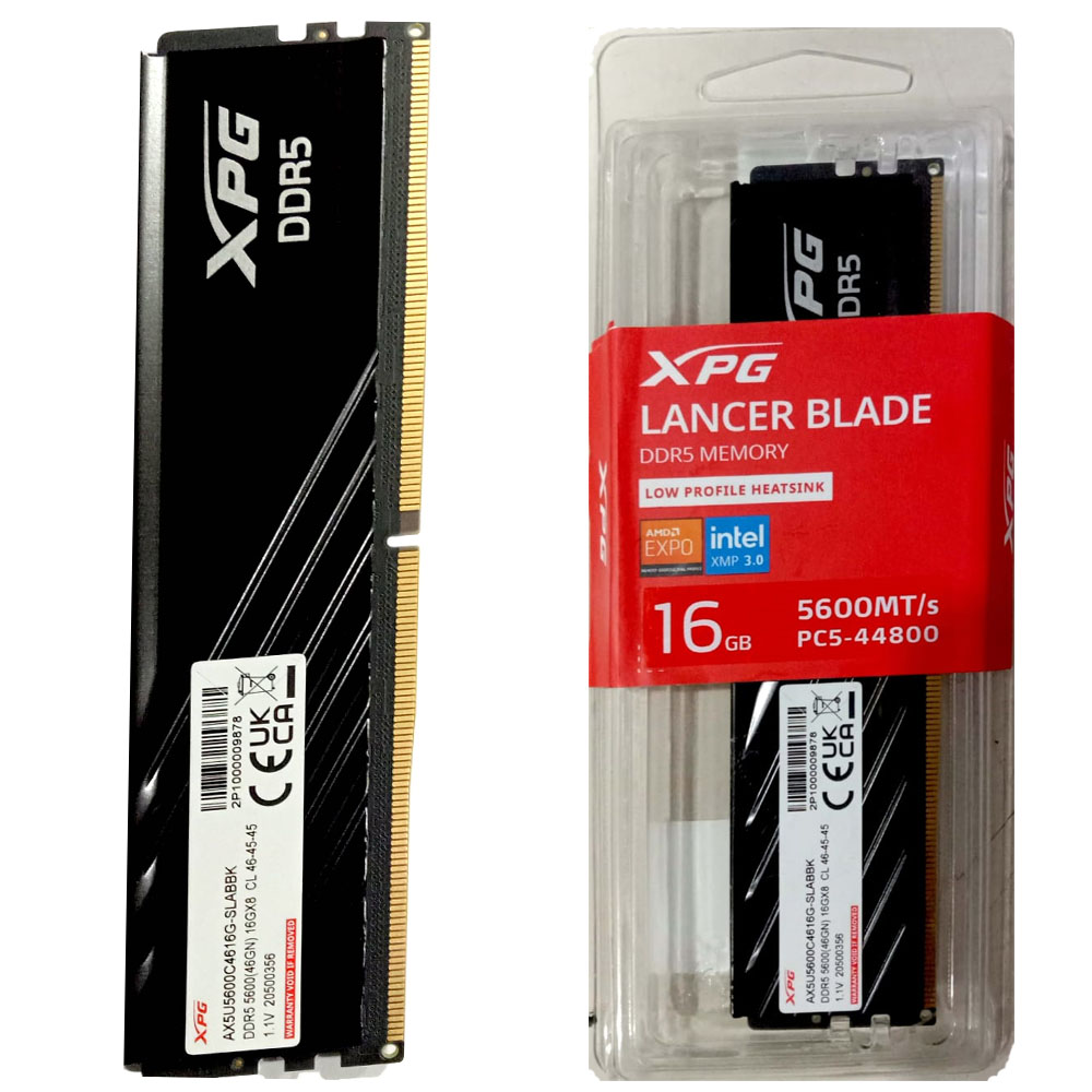 メモリー XPG DDR5 16GB DDR5-5600(PC5-44800) XPG DDR5 16GB DDR5-5600(PC5-44800) Amazon.co.jp: Barrette mémoire